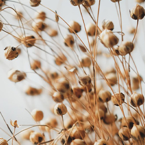 Antibakteriální ochrana